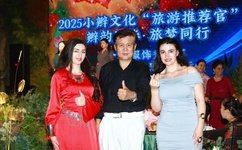 麻豆传煤网站入口直接进